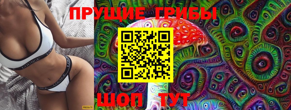 Галлюциногенные грибы Psilocybine cubensis Рославль