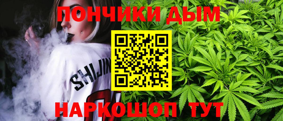 Каннабис OG Kush Рославль